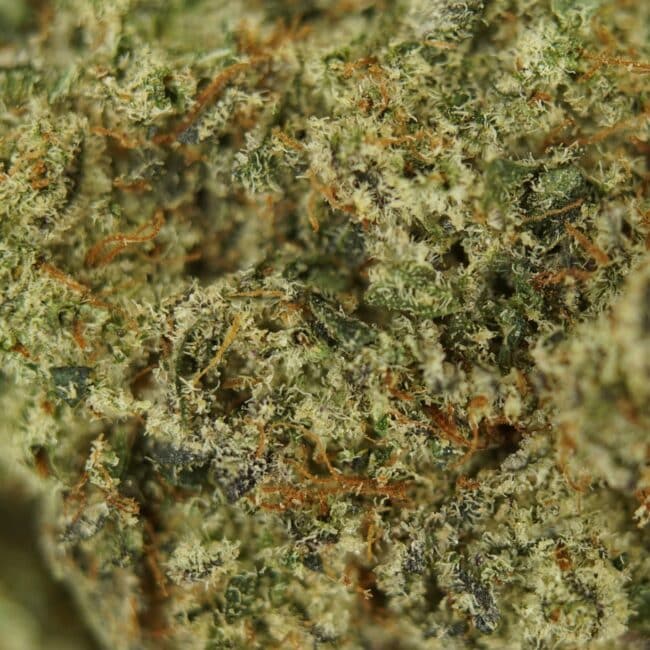 pp death star 2