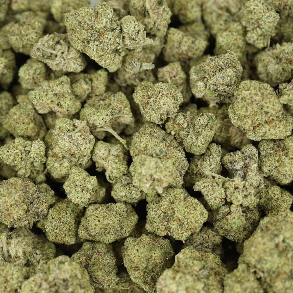 death star top view of cannabis buds with dense structure, frosty trichomes, and light green coloration