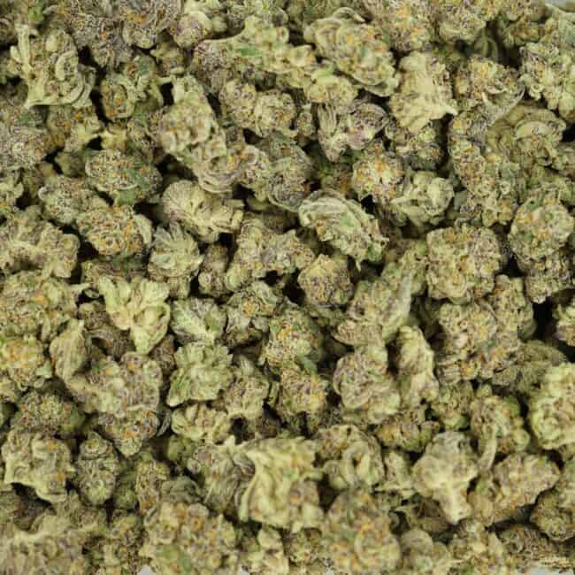 pp gorilla butter smalls full