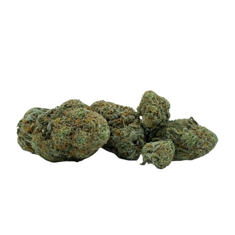 pp pgsc 3