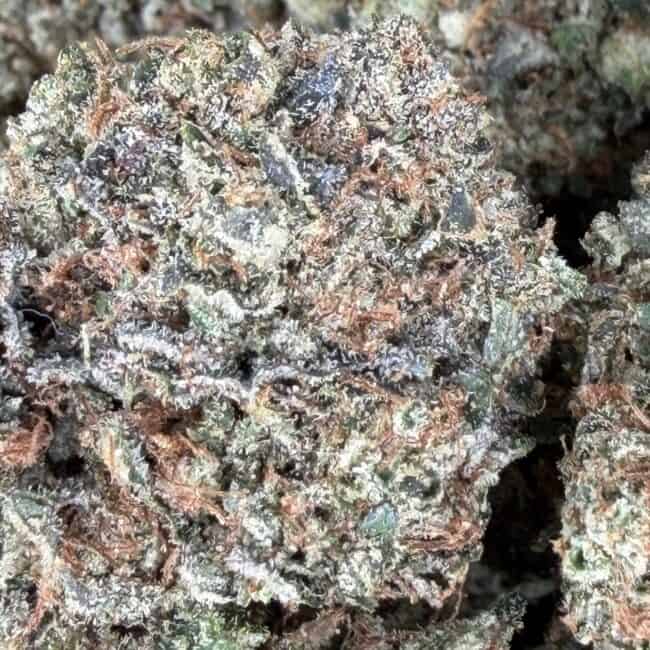 pp platinum og 2