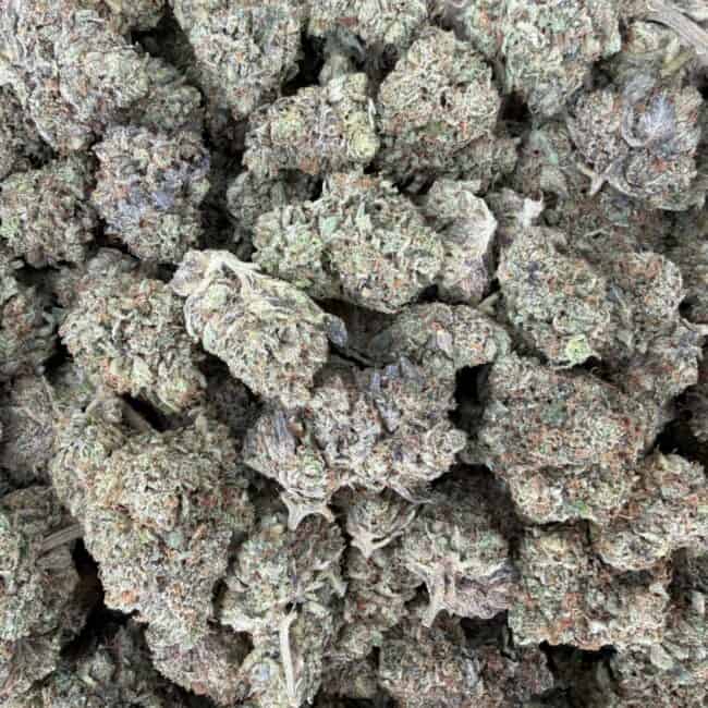 pp platinum og full