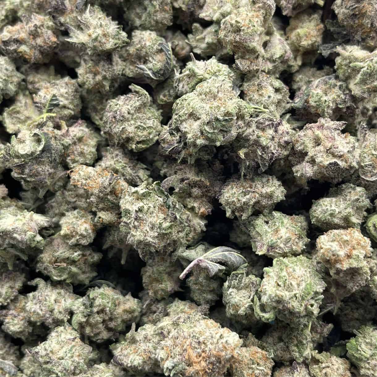Dos-Si-Dos Caviar