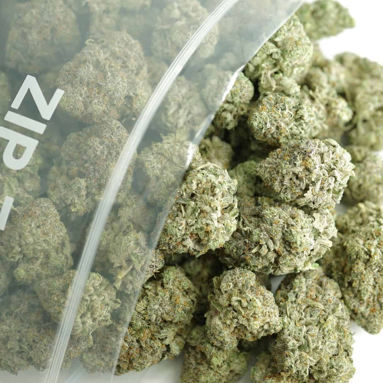 Close-up image of cannabis buds spilling out of a clear ZIP-ZAG plastic bag onto a white surface, showing dense green nugs with visible trichomes and orange hairs.