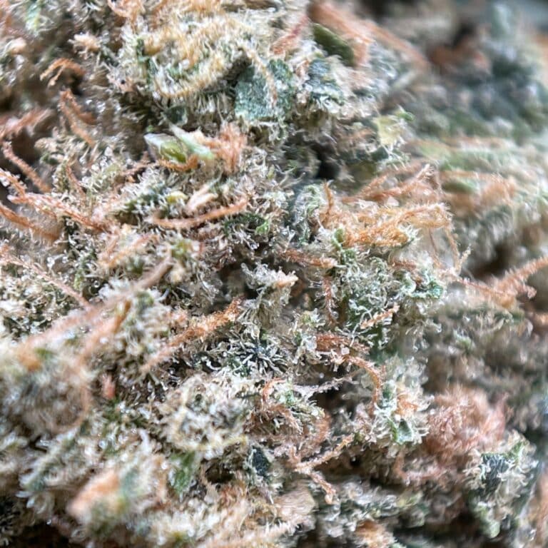 pp GSC 5