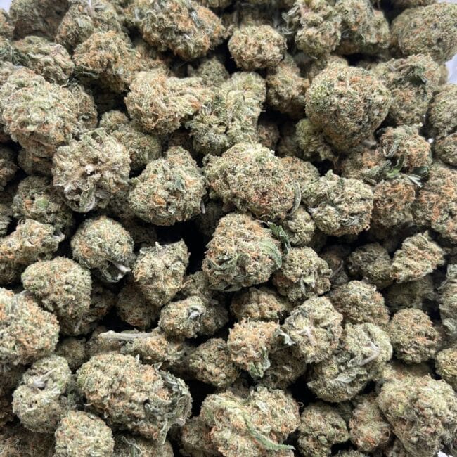 pp gsc b 3