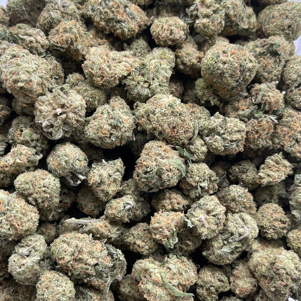 Blue Meanies 7g