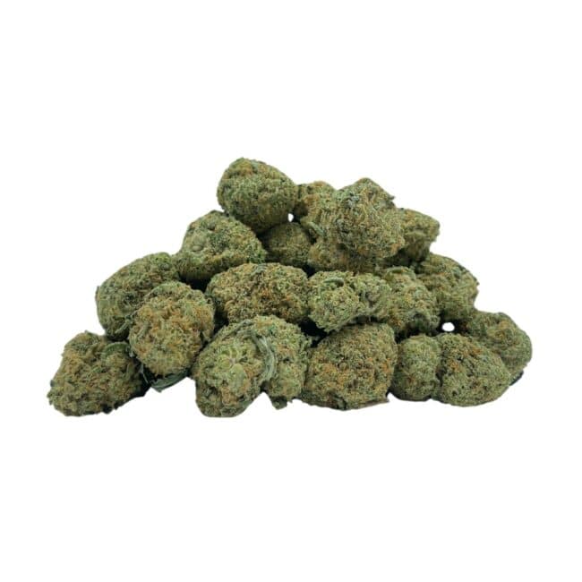 pp gsc b