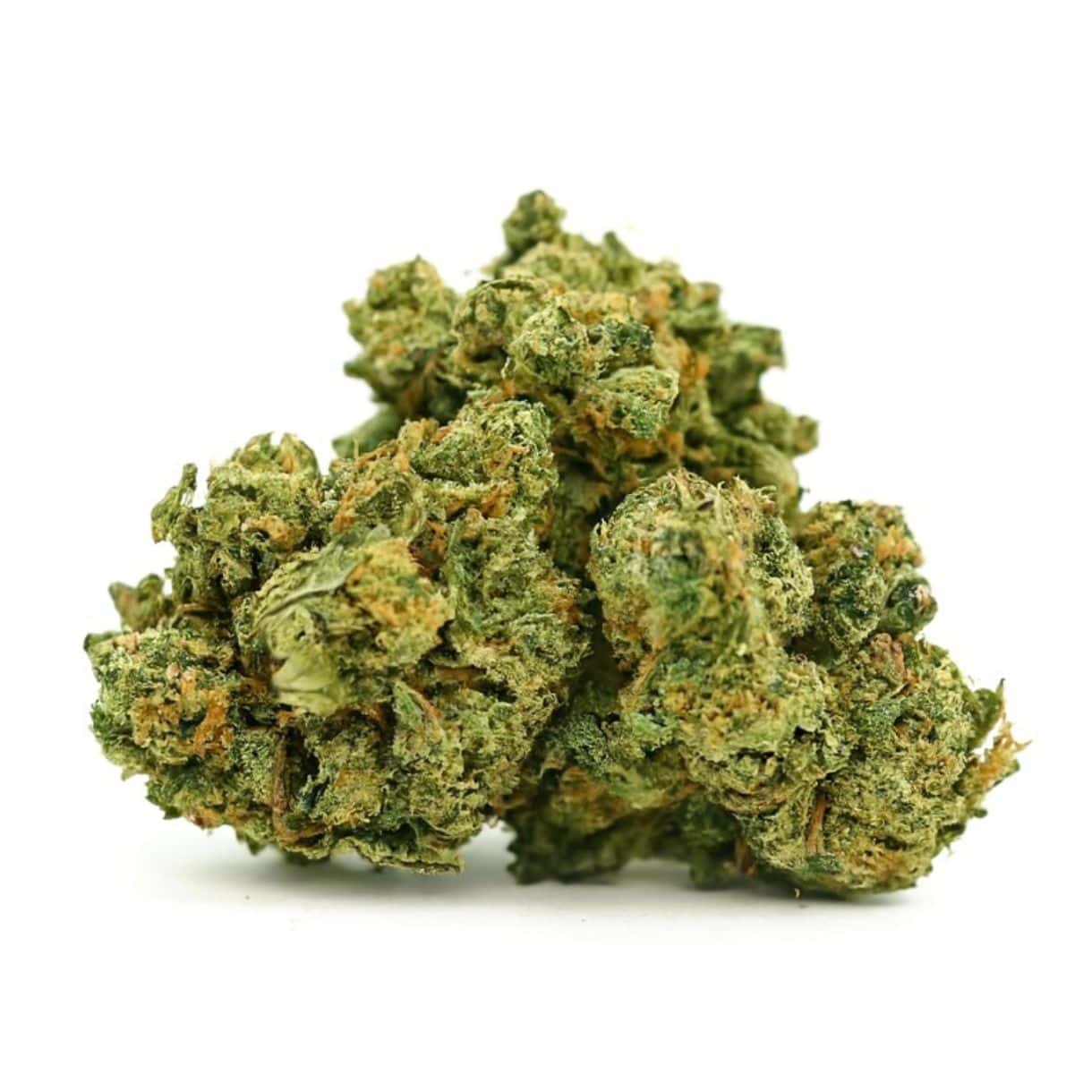 Pure Michigan cannabis buds — dense Indica-dominant hybrid flower from Oreoz and Mendo Breath F2, frosty green nugs with orange pistils, bulk cannabis strain