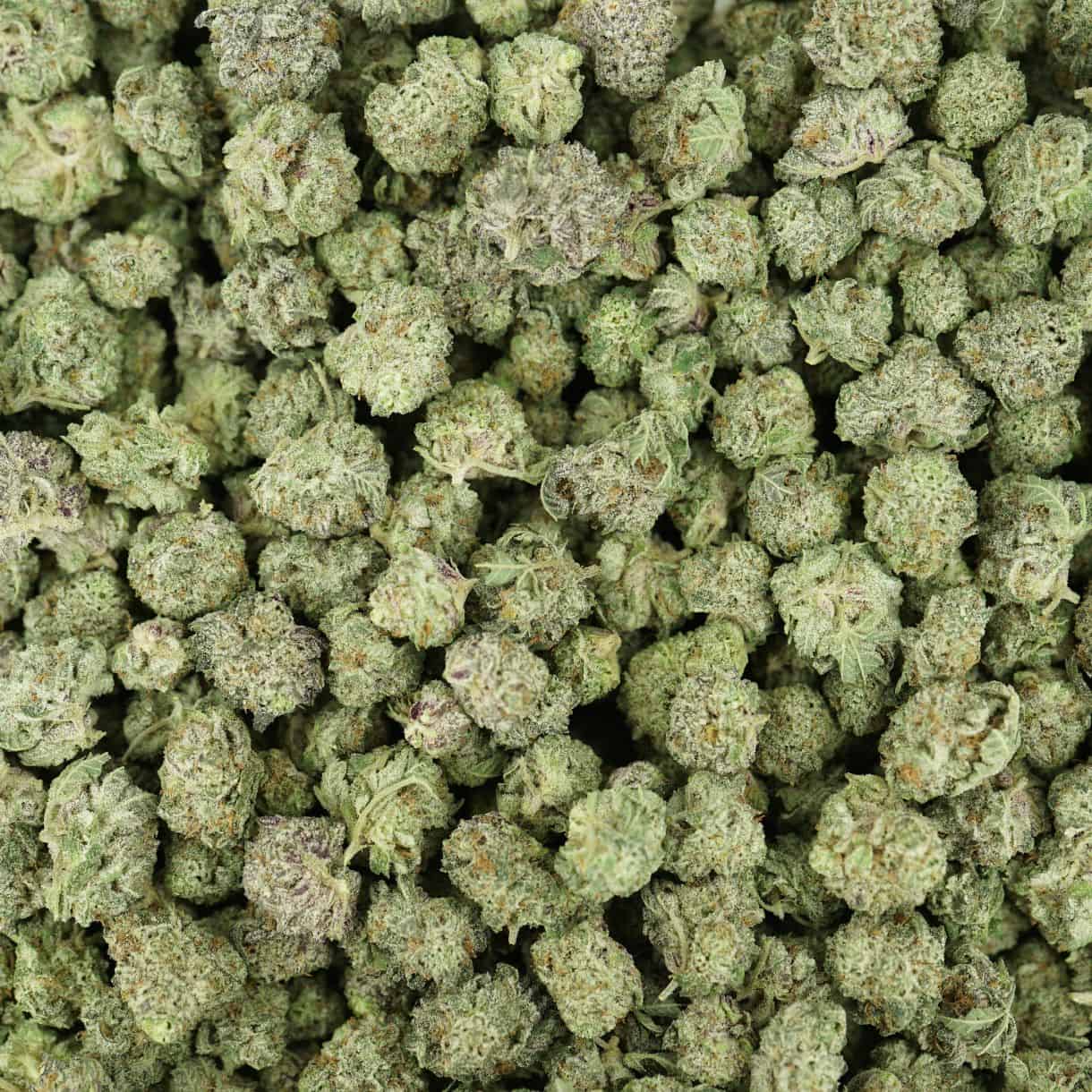 28gr - BLACK SKUNK BERRY SMALLS - INDICA - (AAA) - Image 3