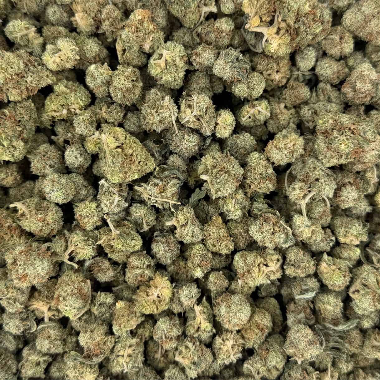 28gr - GELATO SMALLS - BALANCED HYBRID - (AAA) - Image 3
