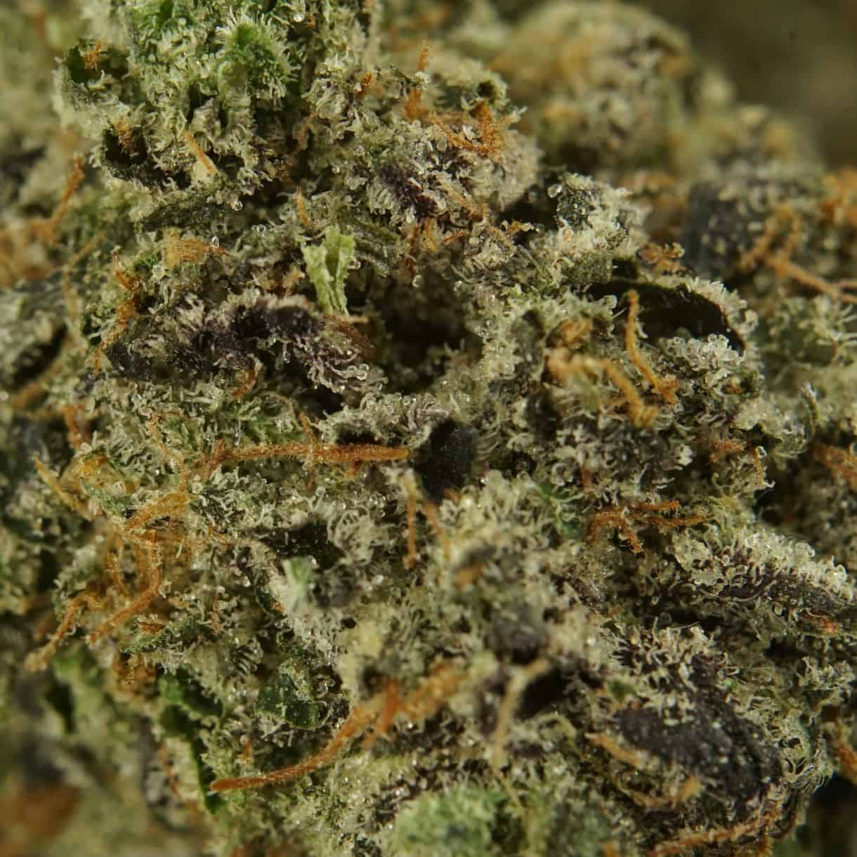 Indica Flower AAA
