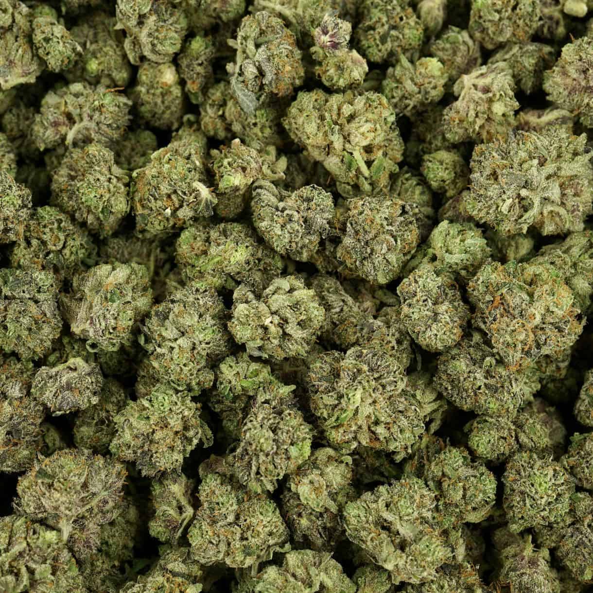 Stress Relief Bud