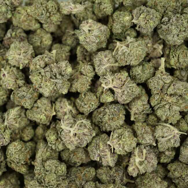 pp black cherry punch full