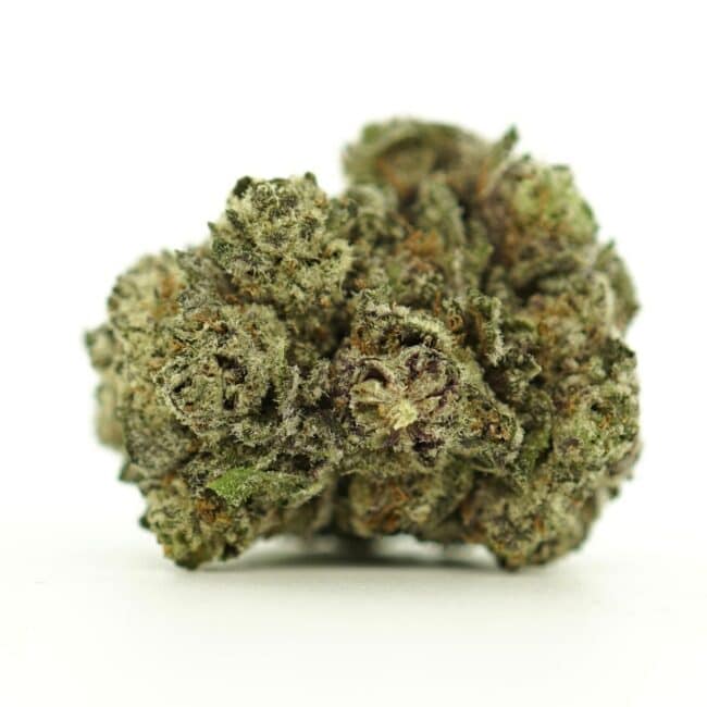 pp black cherry punch main