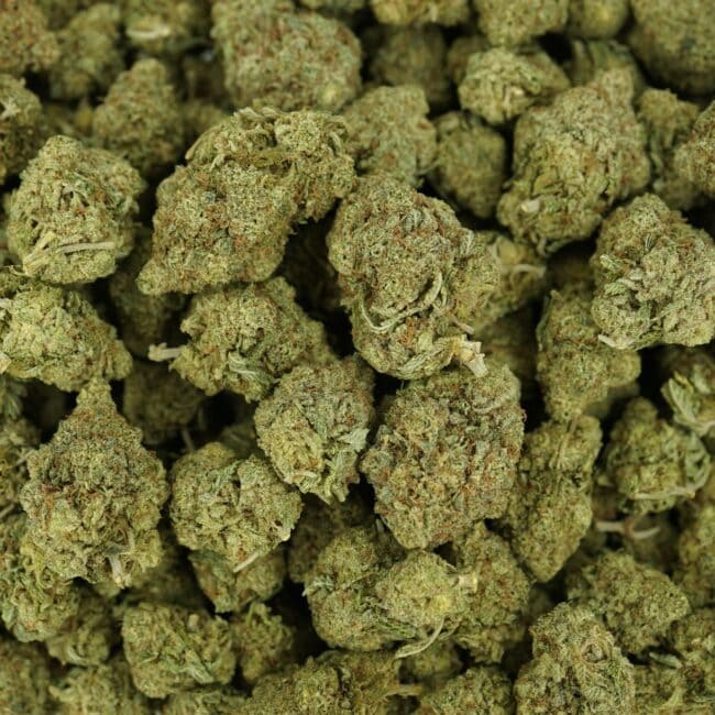 pp black kush lol