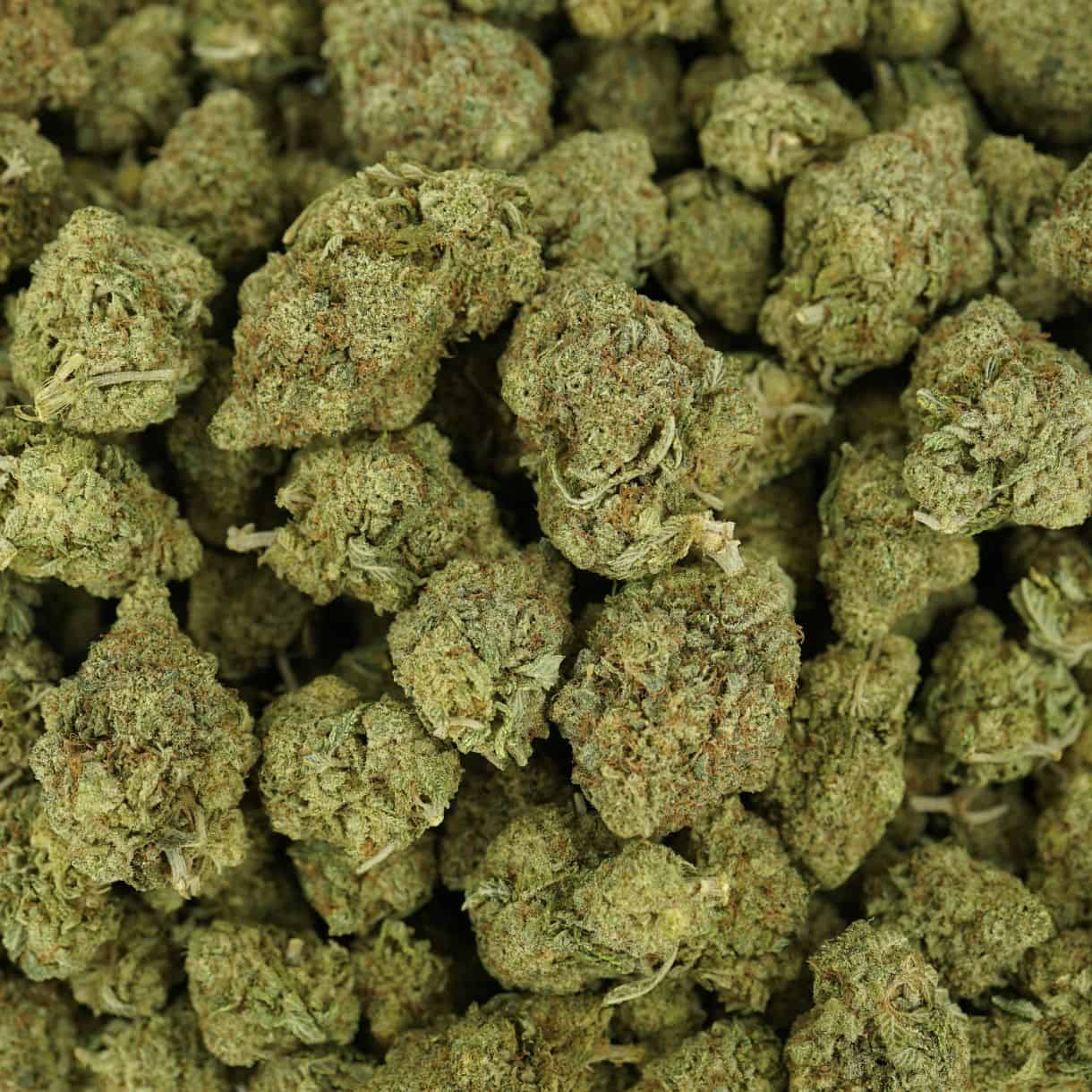 28gr - BLACKBERRY KUSH - INDICA - (AAA) - Image 3