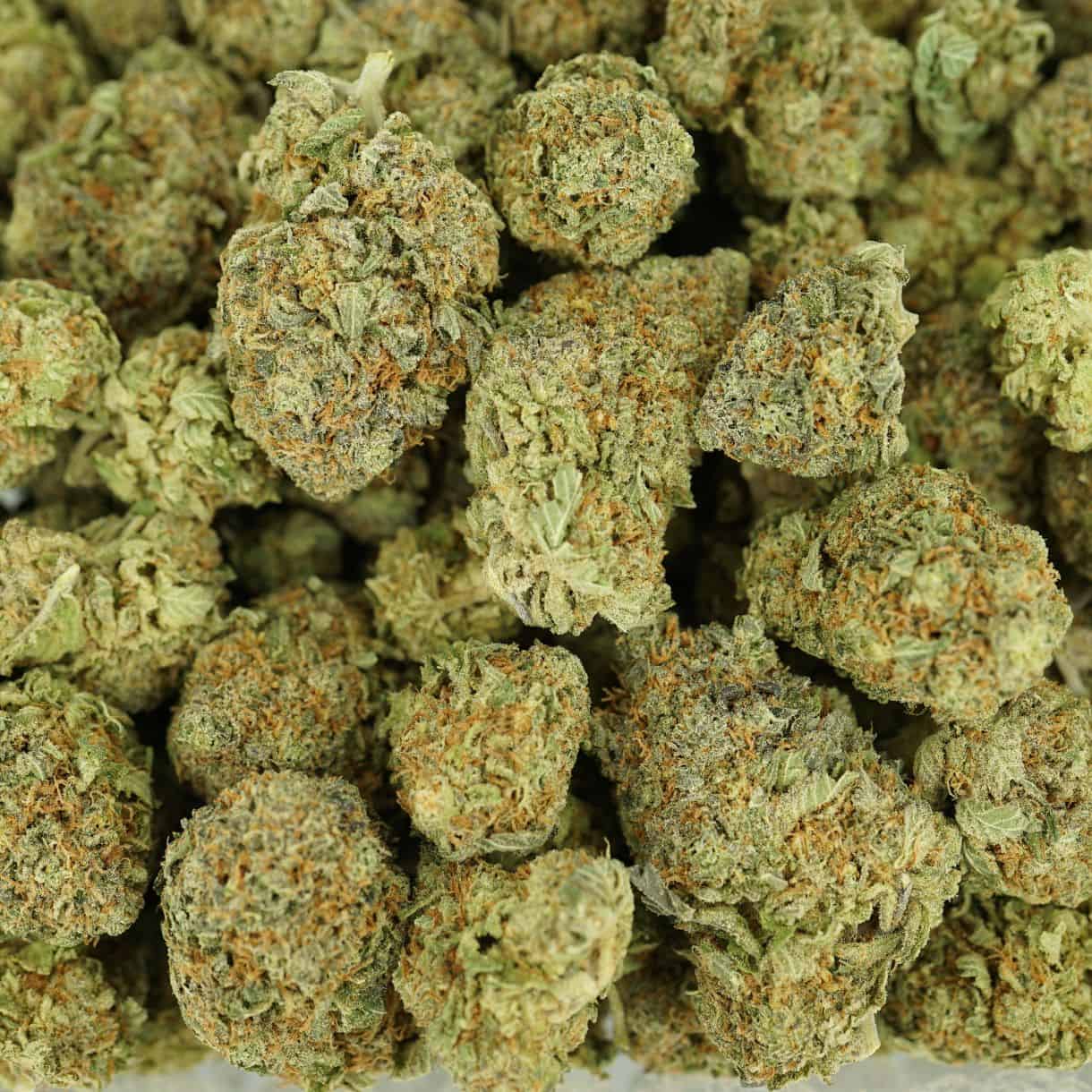 28gr - BLUE COMA - BALANCED HYBRID - (AAA) - Image 3