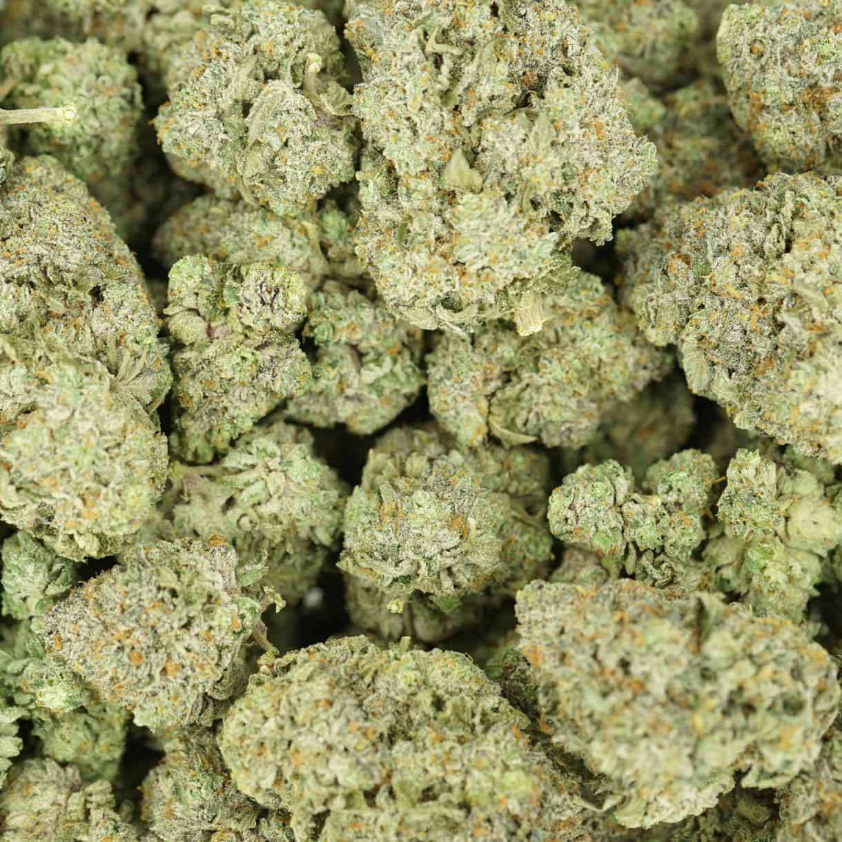 28gr - FROSTED FRUIT CAKE - BALANCED HYBRID - (AAA) - Image 3