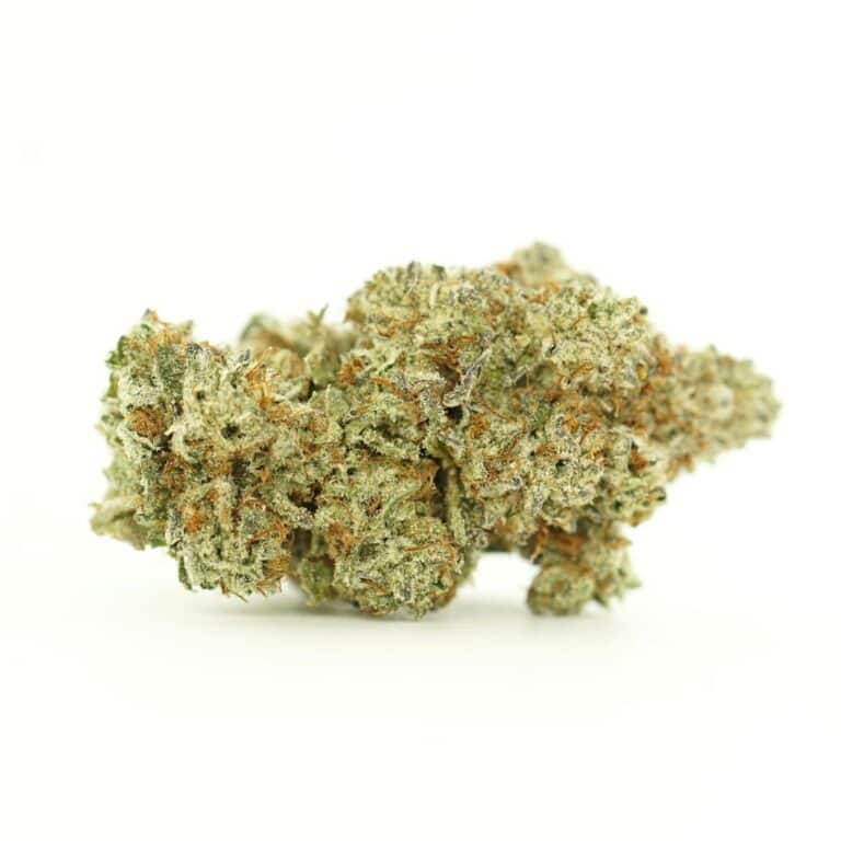 gelato close-up image of cannabis bud with frosty trichomes on a crisp white background