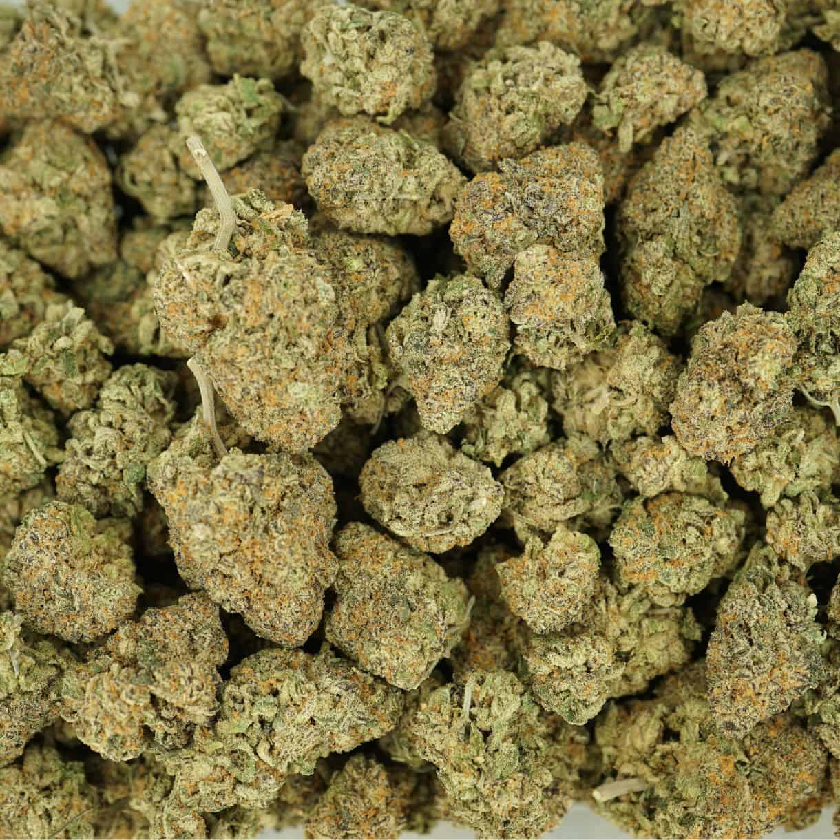 28gr - KRAKEN - INDICA - (AAA) - Image 3