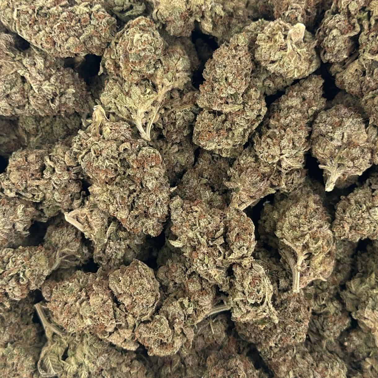 28gr - PINK RUNTZ - BALANCED HYBRID - (AAA) - Image 3