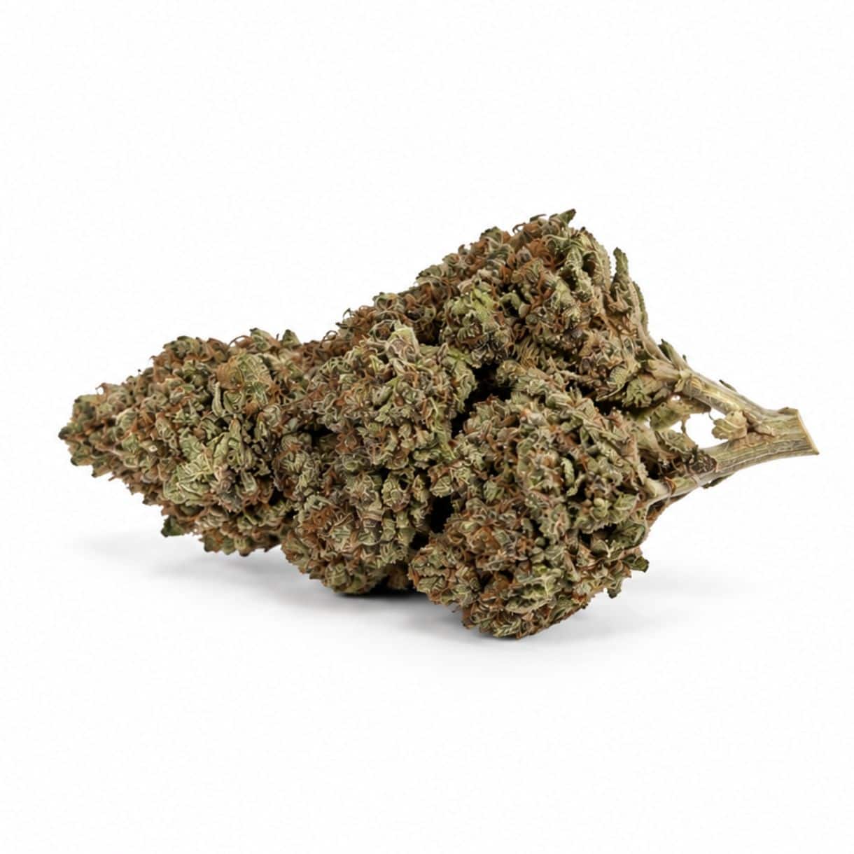 Image of cannabis bud with frosty trichomes on a crisp white background