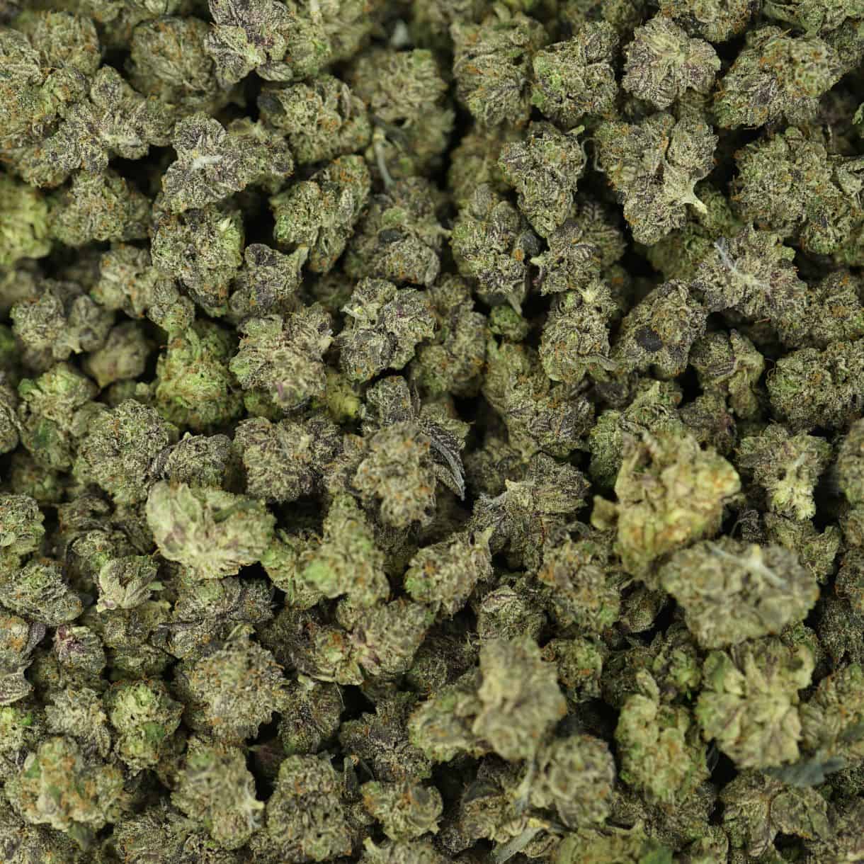top view of cannabis buds with dense structure, frosty trichomes, and light green coloration