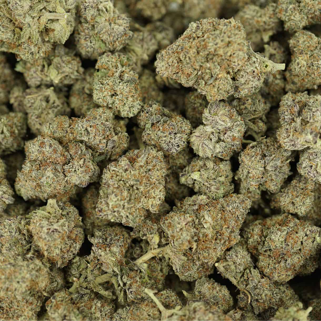 rainbow cake top view of cannabis buds with dense structure, frosty trichomes, and light green coloration