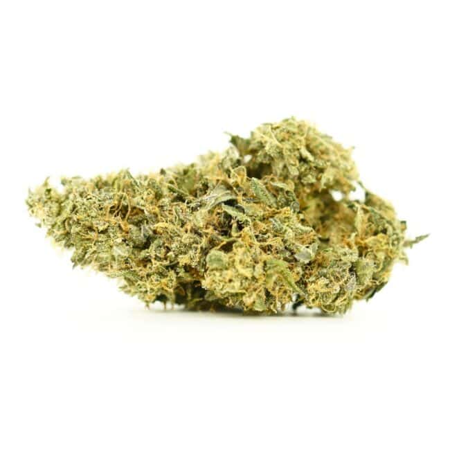 pp tuna breath main