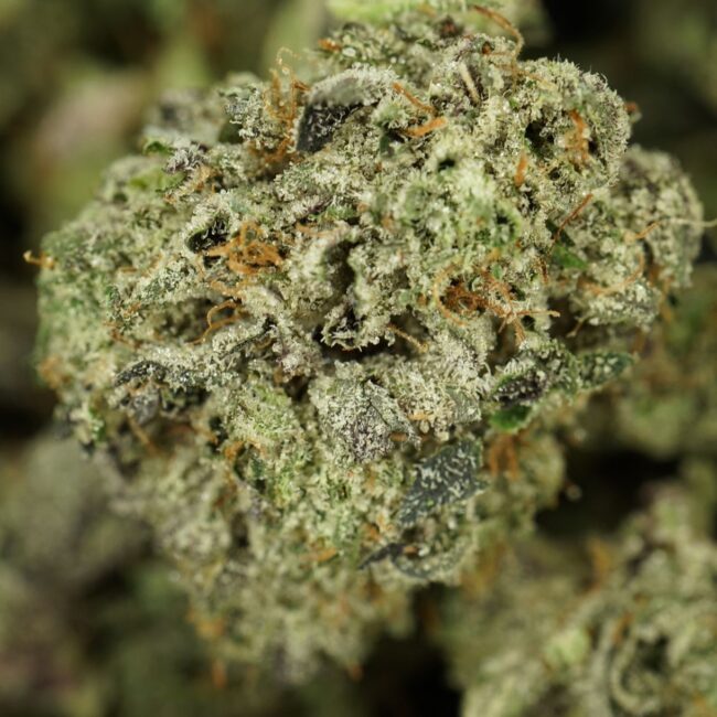 28gr - ROCKSTAR (SMALLS) - BALANCED HYBRID - (AAA) - Image 2