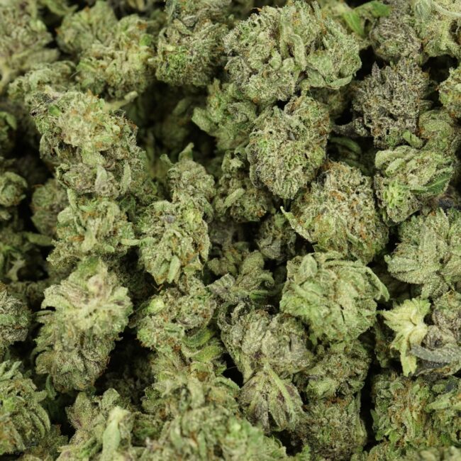 28gr - ROCKSTAR (SMALLS) - BALANCED HYBRID - (AAA) - Image 3