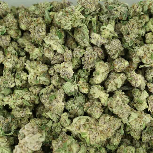 pp donkey butter smalls full