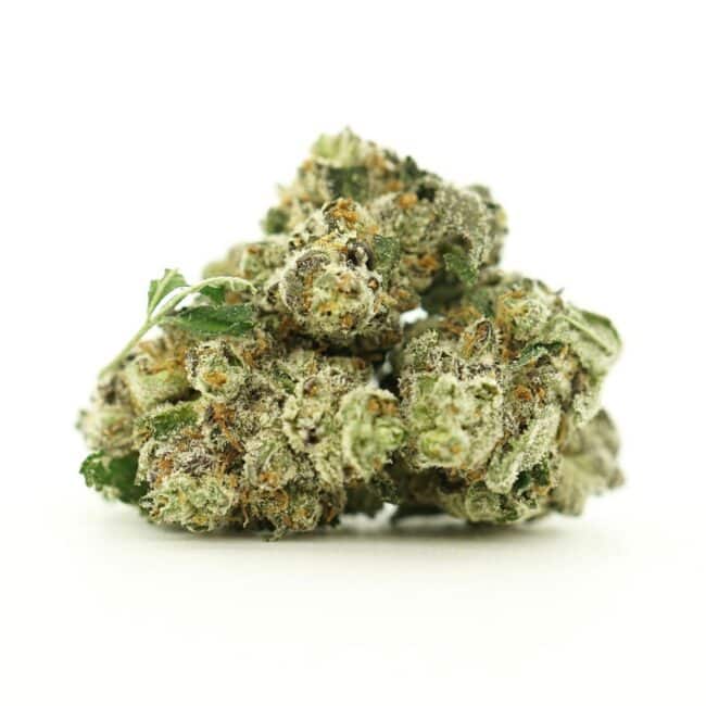 pp donkey butter smalls main (1)