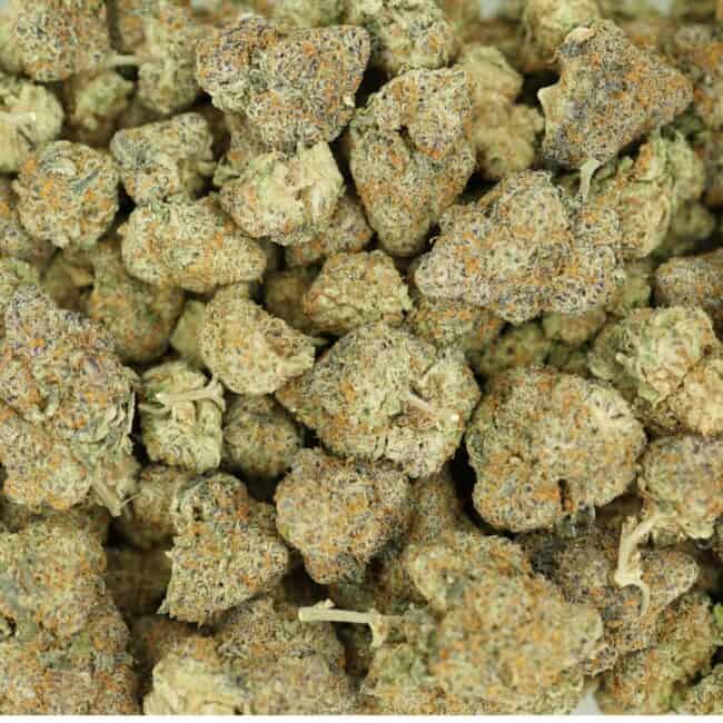 pp garlic truffle full