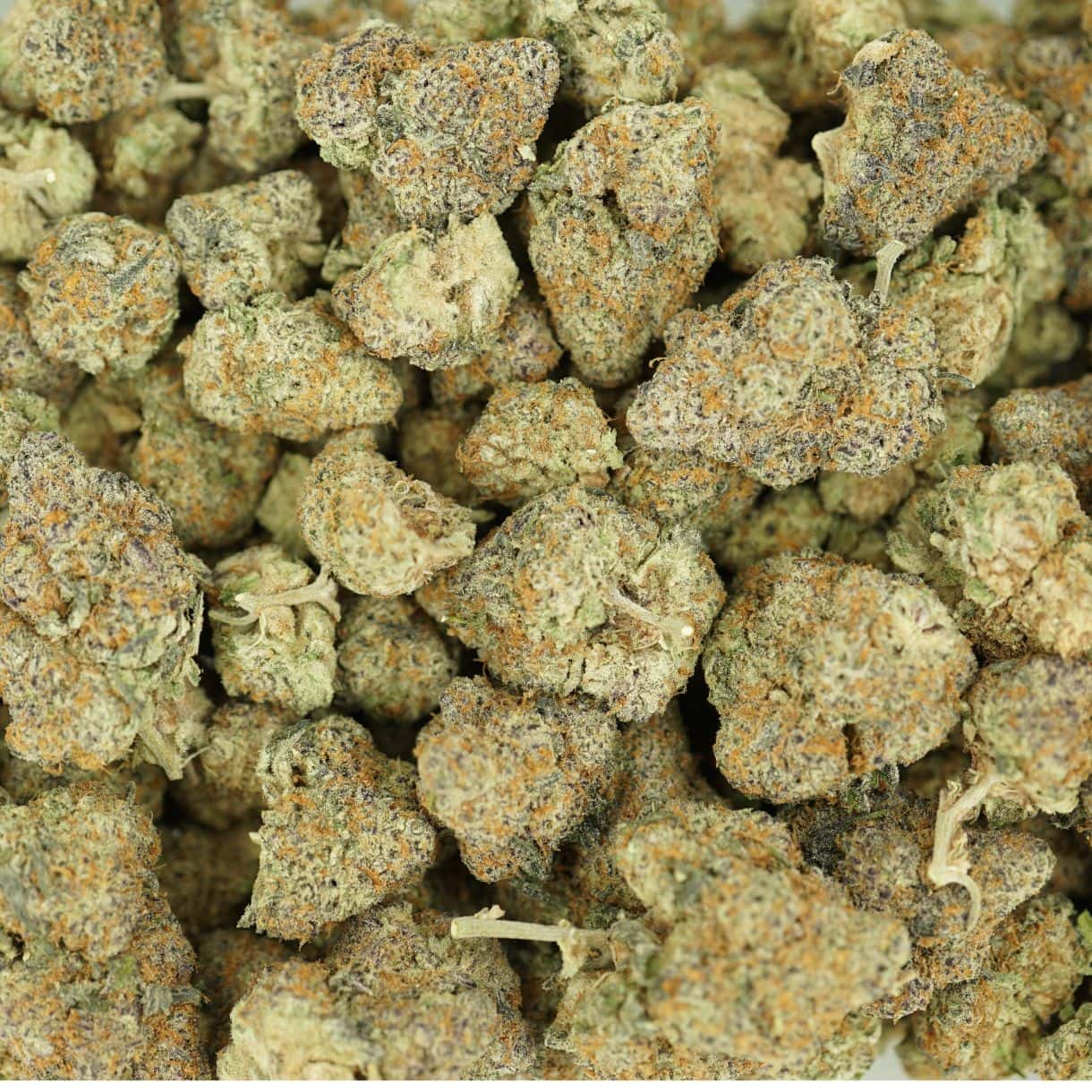 garlic truffle top view of cannabis buds with dense structure, frosty trichomes, and light green coloration