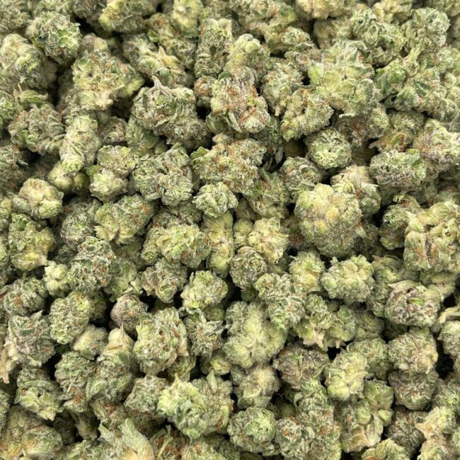 28gr- PLATINUM KUSH BREATH (MICROS) - INDICA - (AAA) - Image 4