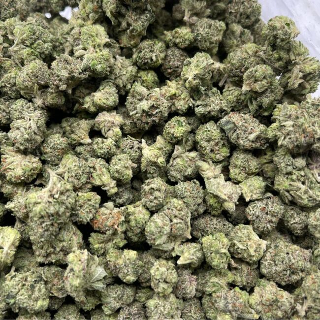 28gr - ROCKSTAR TUNA (MICROS) - INDICA - (AAA) - Image 4