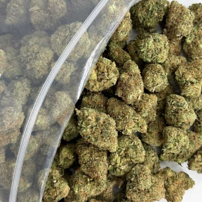 close-up image of cannabis buds spilling out of a clear ZIP-ZAG plastic bag onto a white surface, showing dense green nugs with visible trichomes and orange hairs.