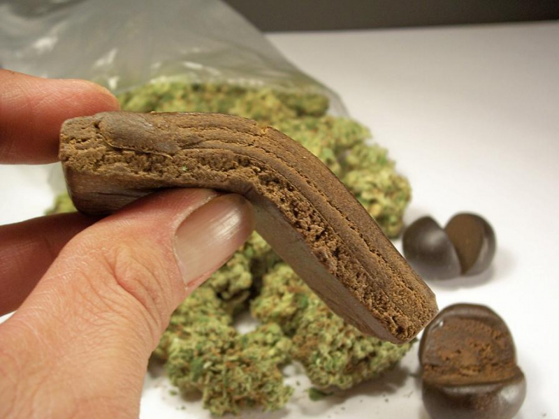 A hand holding bendable brown hashish with cannabis buds and roundhash pieces in the background.