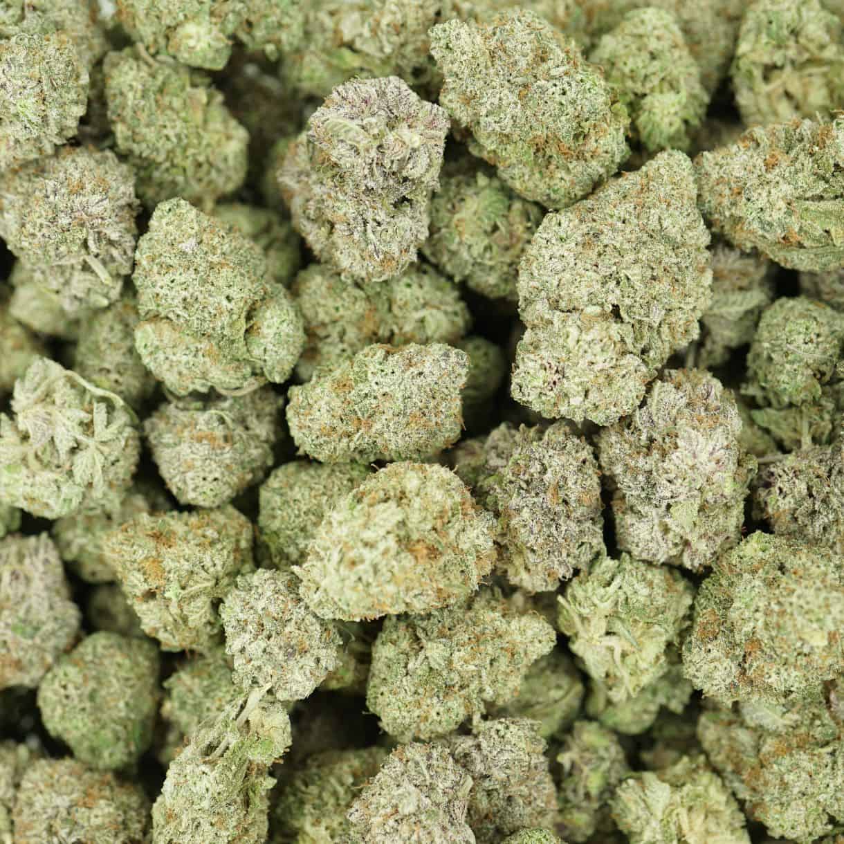 28gr - BLACKBERRY BREATH - INDICA - (AAA) - Image 3