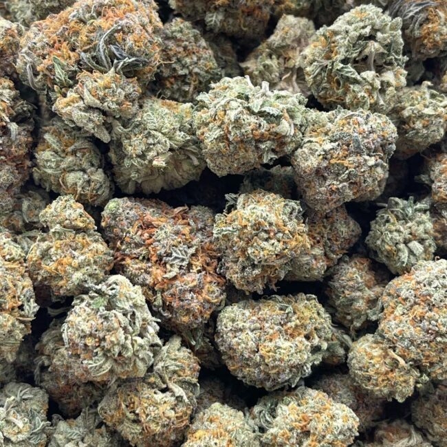 28gr - ANIMAL BERRY - BALANCED HYBRID - (AAA) - Image 4