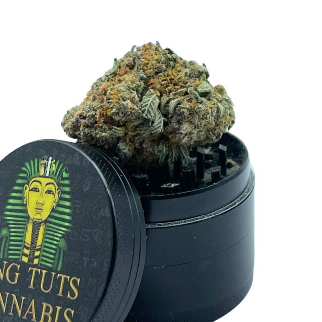 28gr - ANIMAL BERRY - BALANCED HYBRID - (AAA) - Image 3