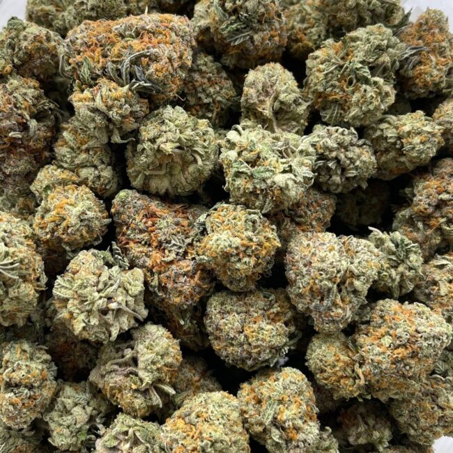 1/2p - ANIMAL BERRY (BULK) - BALANCED HYBRID - (AAA) - Image 4