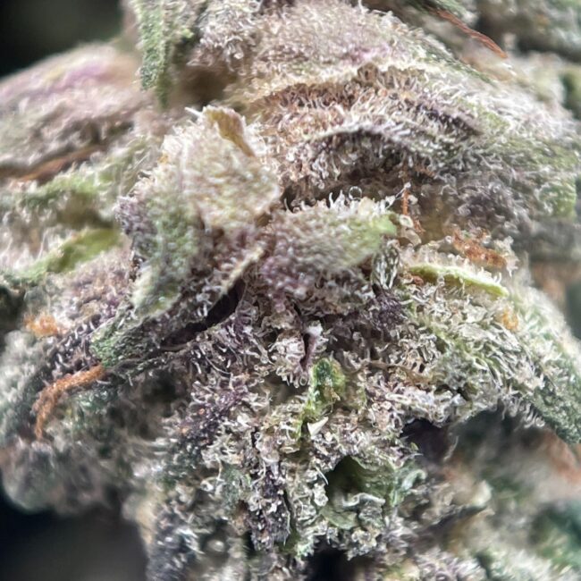 28gr - ISLAND PINK KUSH (MICROS) - INDICA - (AAA) - Image 2