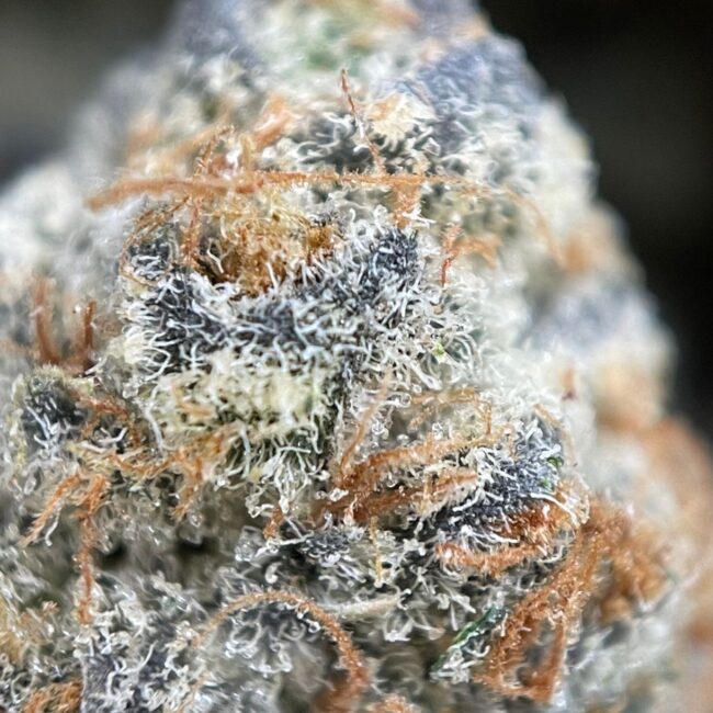7gr - OG KUSH BREATH - INDICA - (AAAA) - Image 2