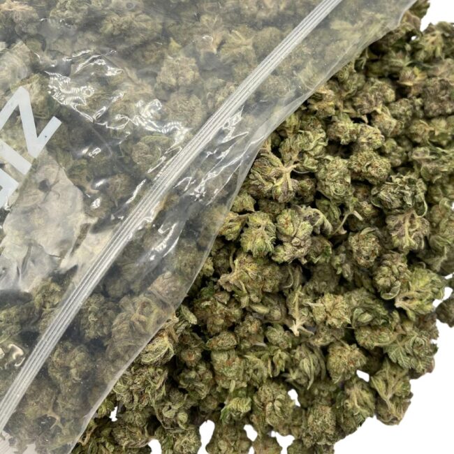 1/2p - DONKEY BUTTER (MICROS) (BULK) - INDICA - (AAA)