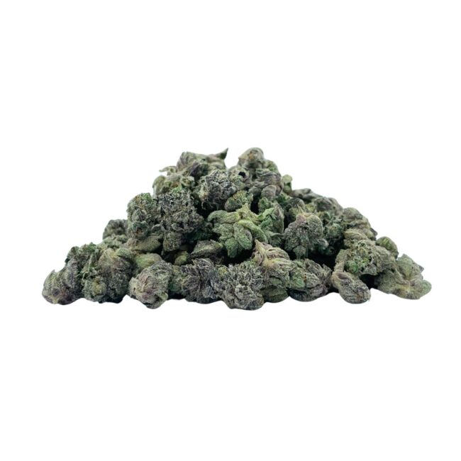 28gr - JET FUEL GELATO (MICROS) - BALANCED HYBRID - (AAA)