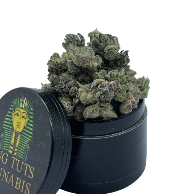 28gr - JET FUEL GELATO (MICROS) - BALANCED HYBRID - (AAA) - Image 3