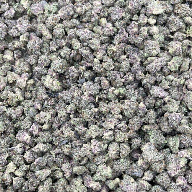 28gr - PINK ROCKSTAR (MICROS) - INDICA - (AAA) - Image 4